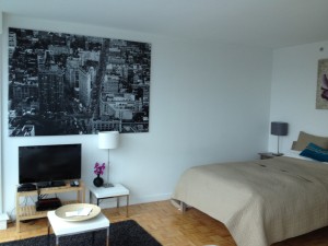 Wohn- und Schlafbereich - Studio Suite - 70 Green Street - Dharma Home Suites