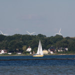 Kleines gelbes Segelboot fährt über die Flensburger Förde vor der Küste Dänemarks