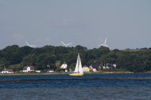 Kleines gelbes Segelboot fährt über die Flensburger Förde vor der Küste Dänemarks