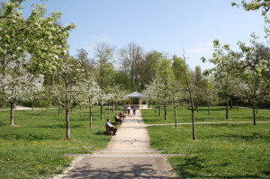 Weg zum Halbmondhäuschen im Schlosspark von Bad Mergentheim