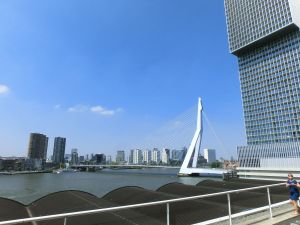 Die Erasmusbrücke in Rotterdam