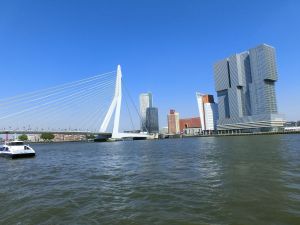 Die Erasmusbrücke sowie das DE Rotterdam, die Vertical City